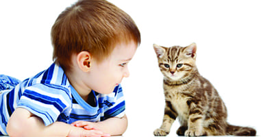 Comment faire cohabiter les enfants et les chats ?