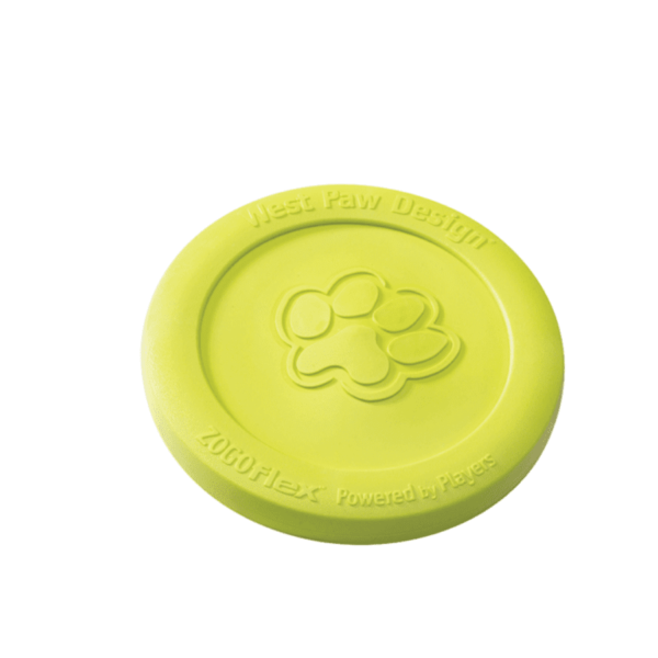 Frisbee vert pour chien Zisc